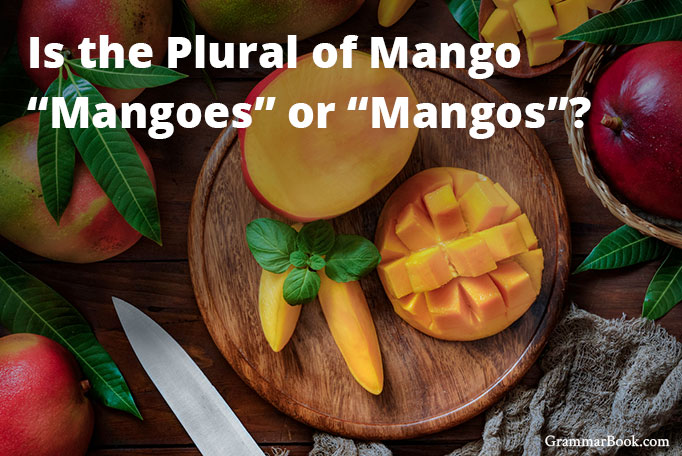 Is The Plural Of Mango Mangoes Or Mangos The Blue Book Of 